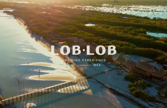Lob Lob Growing Experience