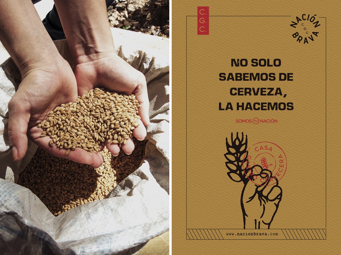 Branding Nación Brava Concept Art Strategy