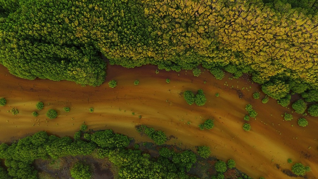 Branding Maramar Fotografía