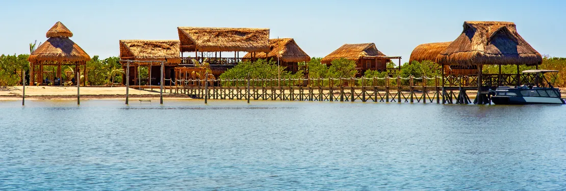 Lob lob_Web_4 - copia