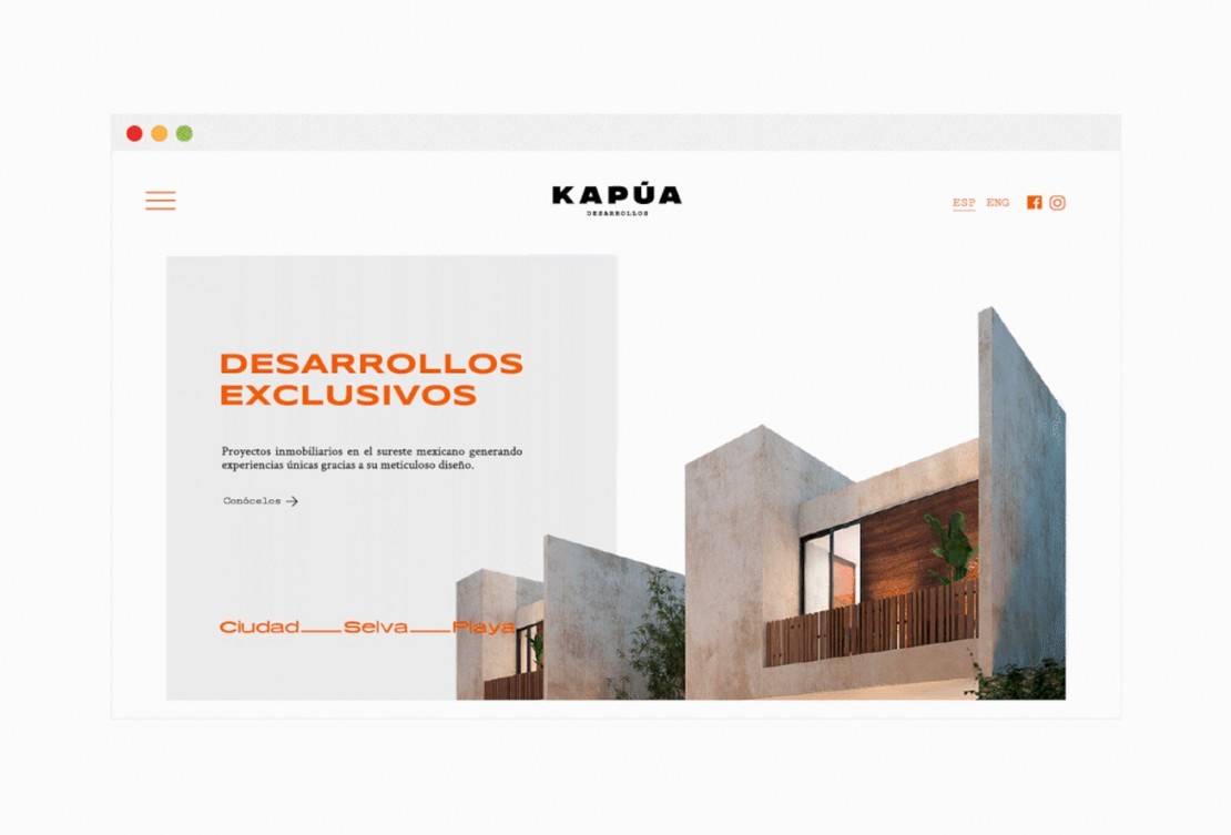 Branding Kapúa Diseño Web