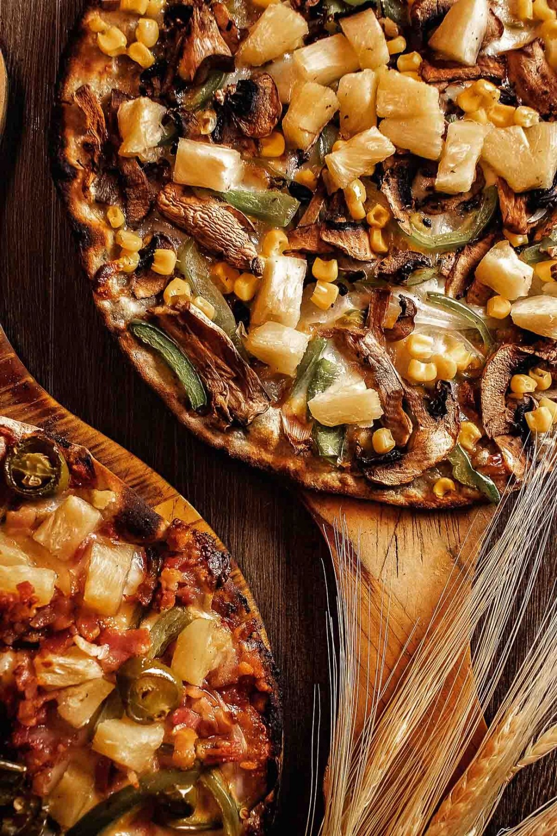 Audiovisuales La fogata Fotografía Publicitaría