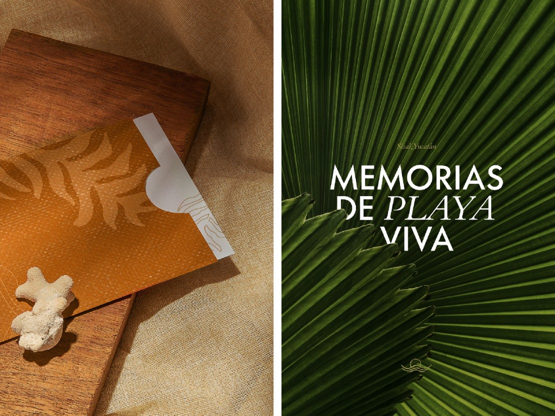 Branding Vía Costela Diseño editorial copy