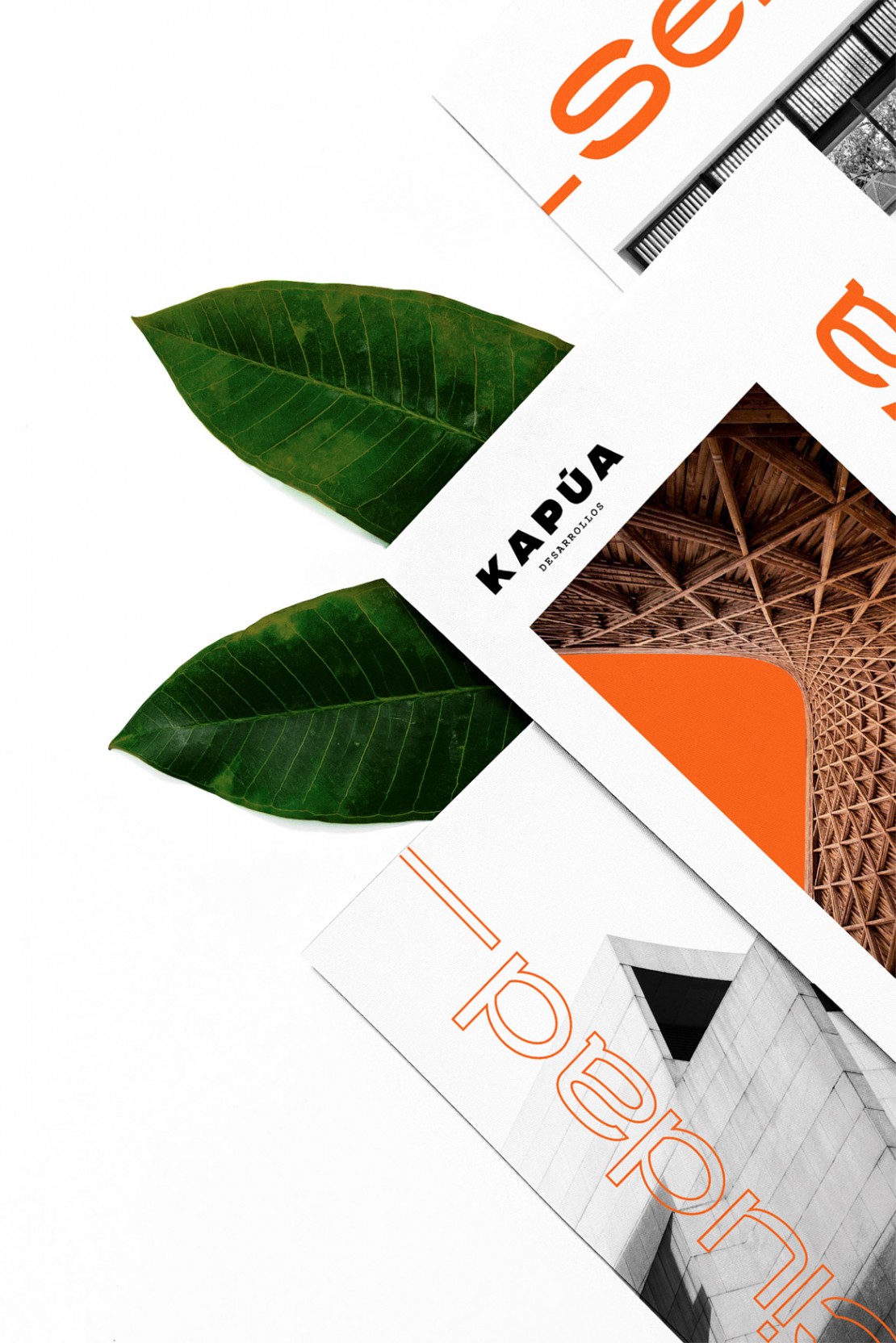 Branding Kapúa  Estrategia de marca