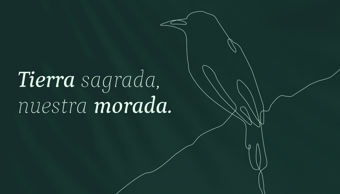 CPN_1_Mantra_Branding_Portada