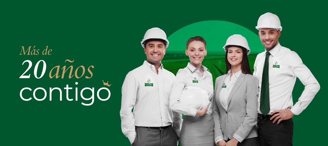 Diseño web empresa Pavorey _ Agencia Publicidad Mantra