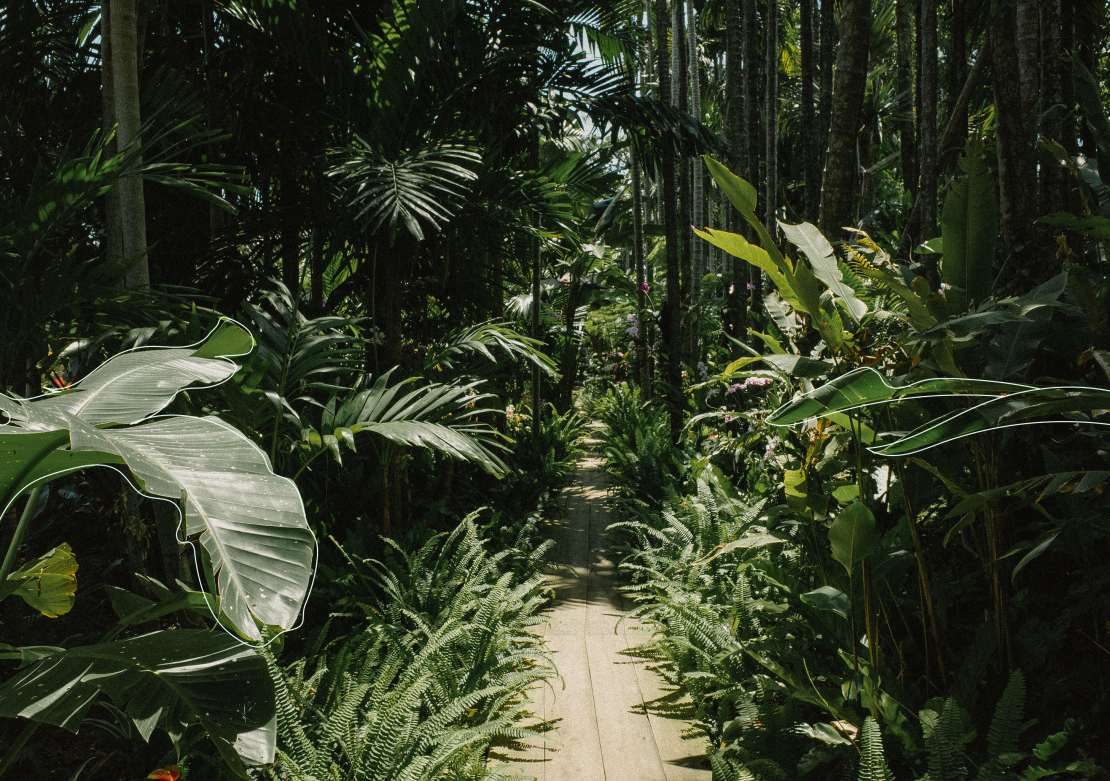 CPN_15_Mantra_Branding