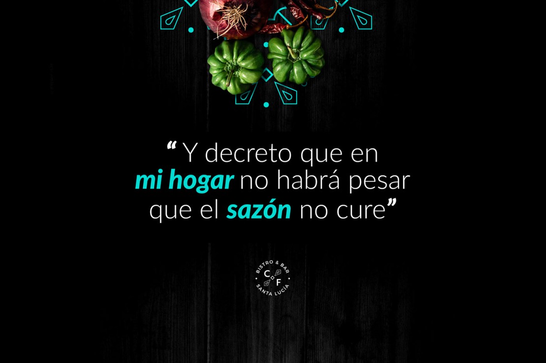 Branding Cartas a frida Comunicación