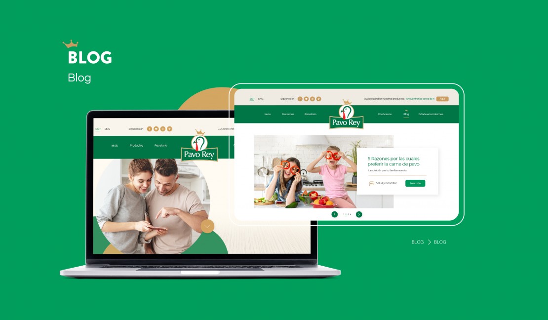 Diseño web _ BLOG _ PavoRey _ Agencia Publicidad Mantra