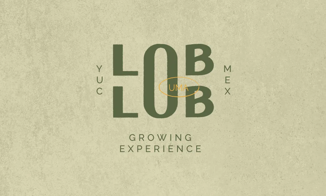 LOB_DOC WEB_04_2016 PX POR 1213 PX_RGB