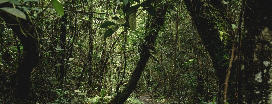 Branding Palorosa  Brand Photography