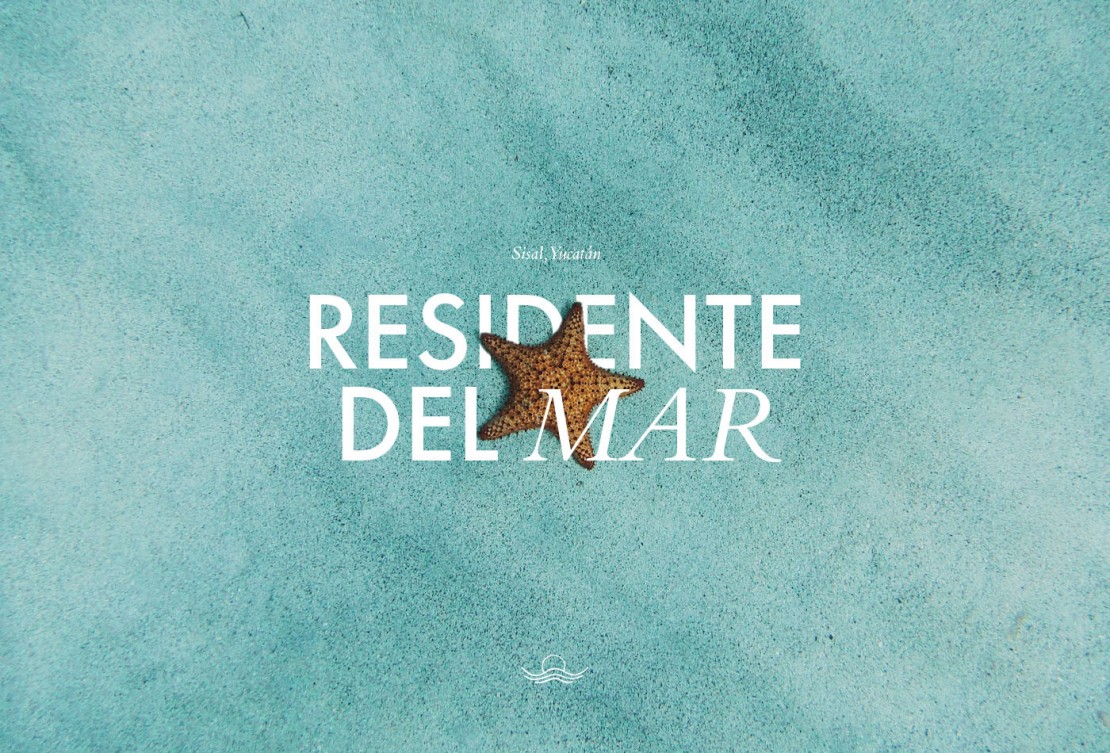 Branding Vía Costela Copy Text