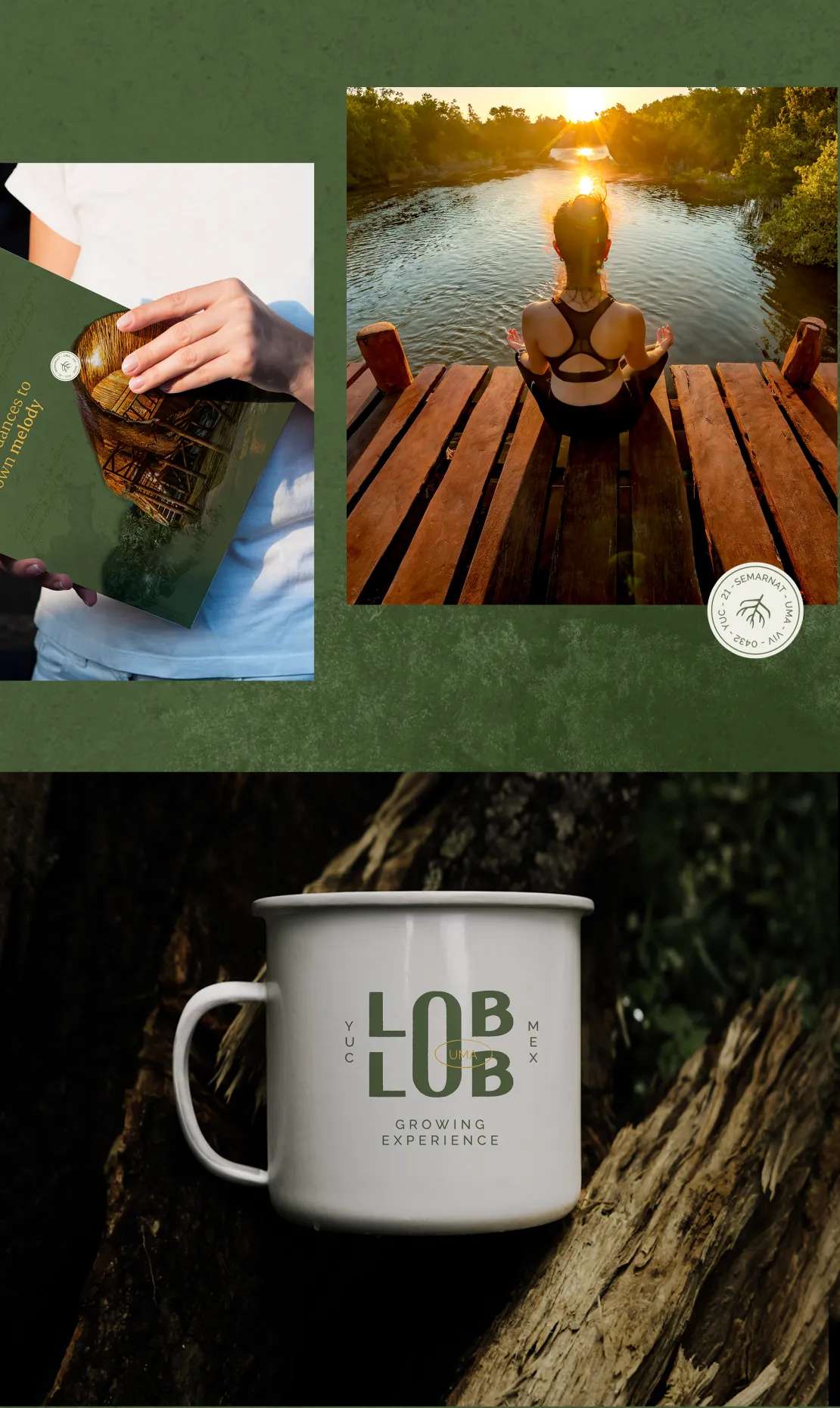 LOB_DOC WEB_17_2016 PX POR 3378 PX_RGB