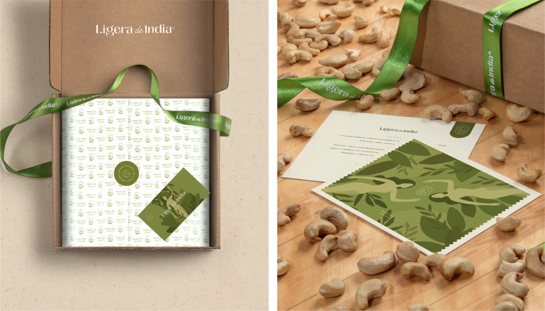 Branding Ligera de India Sistema de identidad