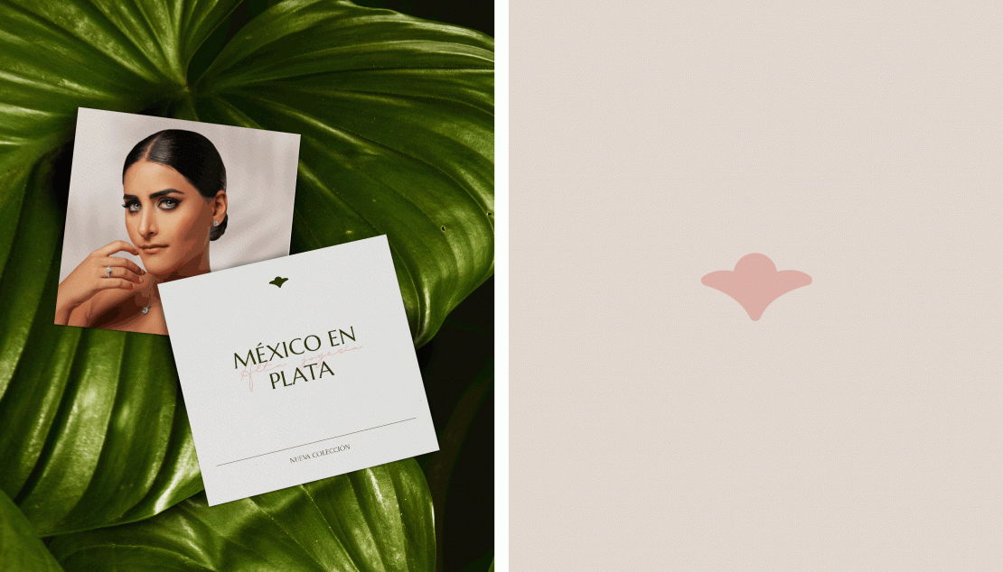 Branding Vicari Dirección Creativa